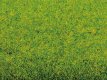 00260 00260 Grass mat "spring meadow".
